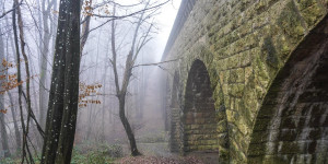 Beitragsbild des Blogbeitrags Rund um den Lainzer Tiergarten