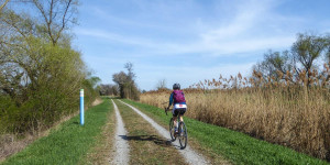 Beitragsbild des Blogbeitrags Am Marchfeldkanal-Radweg von Wien nach Hainburg