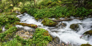 Beitragsbild des Blogbeitrags Wald-Wasser-Themenweg und Hartlsee bei Wildalpen