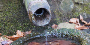 Beitragsbild des Blogbeitrags Geführte Wandertour „Wien-Fluss Teil 3“, 15.04.2023 