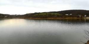 Beitragsbild des Blogbeitrags Geführte Wandertour „Wien-Fluss Teil 2“, 26.03.2023