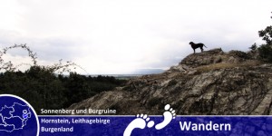 Beitragsbild des Blogbeitrags Wolkentanz am Sonnenberg – unterwegs im Leithagebirge 