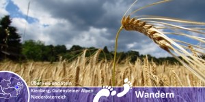 Beitragsbild des Blogbeitrags Über Fels und Stein – Kraxelei am Kienberg (650m)