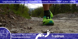 Beitragsbild des Blogbeitrags Von der Schnapsidee zur Umsetzung – Trailrun am Bisamberg