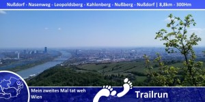Beitragsbild des Blogbeitrags Es geht bergauf – Trailrun am Leopoldsberg und Kahlenberg 