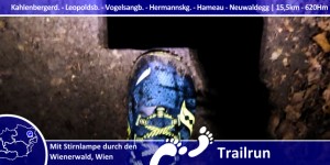 Beitragsbild des Blogbeitrags Nacht-Trailrun am Leopoldsberg und Hermannskogel 