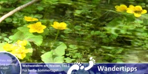 Beitragsbild des Blogbeitrags Für heiße Sommertage – Weitwandern am Wasser, Teil 2