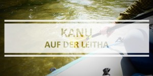 Beitragsbild des Blogbeitrags Paddeln auf der Leitha, oder: sich treiben lassen