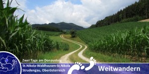 Beitragsbild des Blogbeitrags Zwei Tage Donausteig – Zwischen Sankt Nikola und Waldhausen im Strudengau 