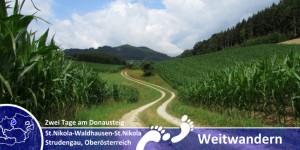 Beitragsbild des Blogbeitrags Zwei Tage Donausteig – Zwischen Sankt Nikola und Waldhausen im Strudengau