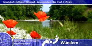 Beitragsbild des Blogbeitrags Von Katzelsdorf nach Bad Erlach – Kein Skandal ums Rosaliengebirge