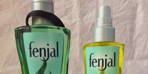 Beitragsbild des Blogbeitrags Fenjal Body-Öl und Duschöl - Produkttest/ Review 