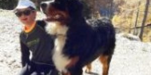 Beitragsbild des Blogbeitrags Best Friends for ever