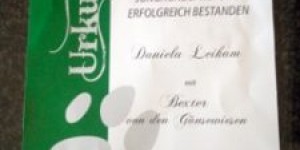 Beitragsbild des Blogbeitrags Herzlichen Glückwunsch