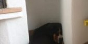Beitragsbild des Blogbeitrags großer Passepartout