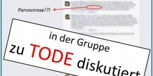 Beitragsbild des Blogbeitrags Menschen, Hunde und Tierärzte 
