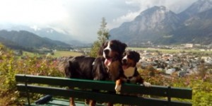 Beitragsbild des Blogbeitrags Wunderbare Herbstwanderungen