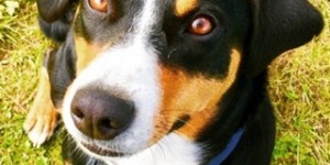 Beitragsbild des Blogbeitrags Geburtstag – herzlichen Glückwunsch!