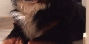Beitragsbild des Blogbeitrags Imma muasi aufs herrli woartn