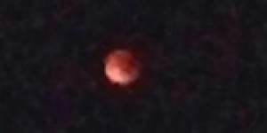 Beitragsbild des Blogbeitrags Blutmond & Supermond fotografiert v. David