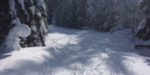 Beitragsbild des Blogbeitrags Schitour in den Karawanken