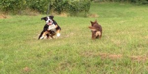 Beitragsbild des Blogbeitrags Wahre Freundschaft