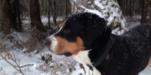 Beitragsbild des Blogbeitrags malu ist gegangen