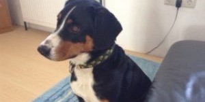 Beitragsbild des Blogbeitrags Auf Platzsuche 