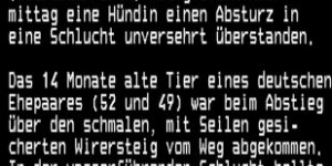 Beitragsbild des Blogbeitrags ORF Teletext „Hündin 60m Absturz überlebt“ 