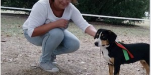 Beitragsbild des Blogbeitrags Ein Tag des FCI Gänsewiesen Sieges