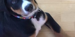 Beitragsbild des Blogbeitrags Schöne Grüße aus Perg!! 