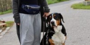 Beitragsbild des Blogbeitrags Nach 7 Jahren zu Besuch „Daheim“