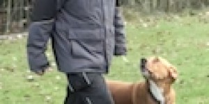 Beitragsbild des Blogbeitrags Hundeplatz