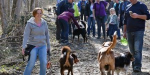 Beitragsbild des Blogbeitrags Fotos von der Fühlingswanderung 