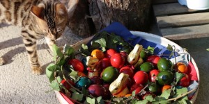 Beitragsbild des Blogbeitrags Frohe Ostertage