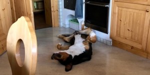 Beitragsbild des Blogbeitrags Hitze & Schattenplätze