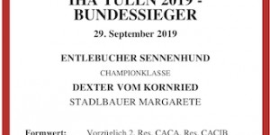 Beitragsbild des Blogbeitrags Internationale Bundessiegerschau in Tulln 2019