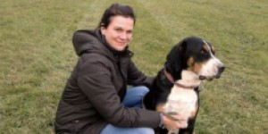 Beitragsbild des Blogbeitrags Der Gänsebraten von den Gänsewiesen
