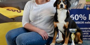 Beitragsbild des Blogbeitrags National dog show Brno