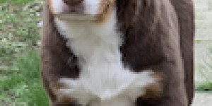 Beitragsbild des Blogbeitrags Heimfahrt – 8 Stunden 