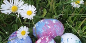 Beitragsbild des Blogbeitrags Das Osternest von Iris 
