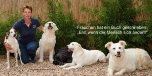 Beitragsbild des Blogbeitrags Auslastung von Hunden 