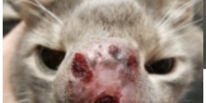 Beitragsbild des Blogbeitrags Von Loslassen und Klammern am Lebensende