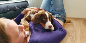 Beitragsbild des Blogbeitrags Kiras erster Tag in der Welpenschule