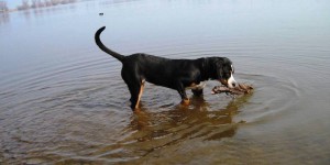 Beitragsbild des Blogbeitrags Lucy