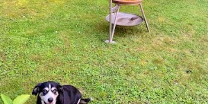 Beitragsbild des Blogbeitrags Sonnwendfeuer 2020