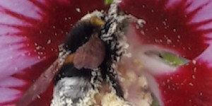 Beitragsbild des Blogbeitrags Glück