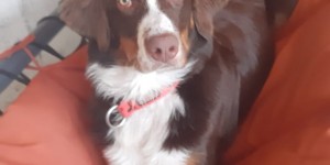 Beitragsbild des Blogbeitrags Meine bequeme Liege hat einen neuen Besitzer