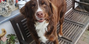 Beitragsbild des Blogbeitrags Sommergrüße