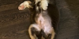 Beitragsbild des Blogbeitrags So entspannt